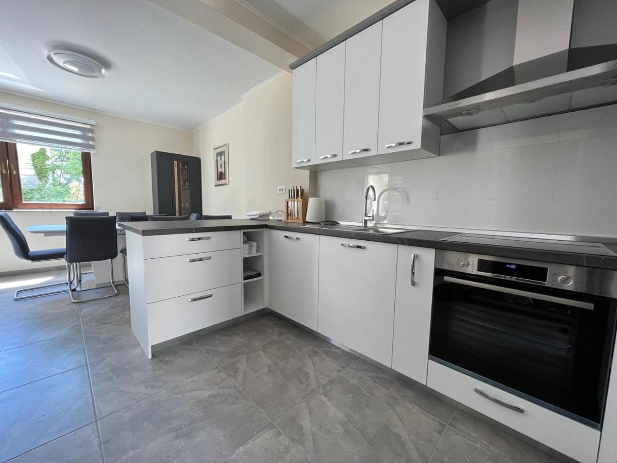 Apartman David Rijeka Dış mekan fotoğraf